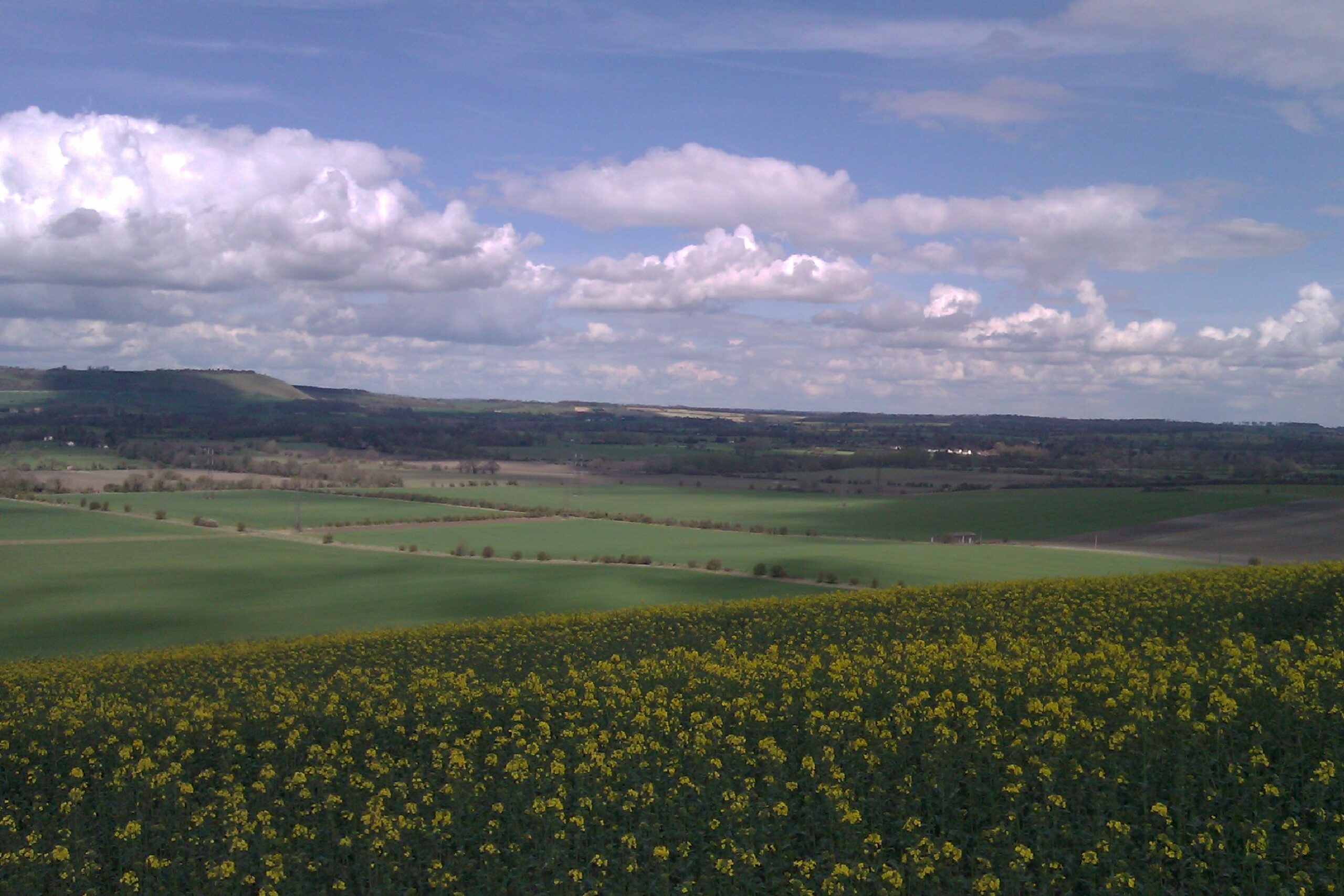 Pewsey Vale – Towards Martinsell