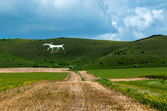 Alton-Barnes-White-Horse