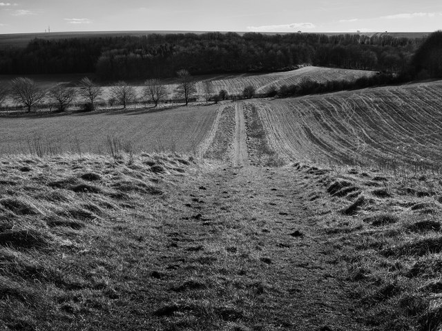 Rushall Drove