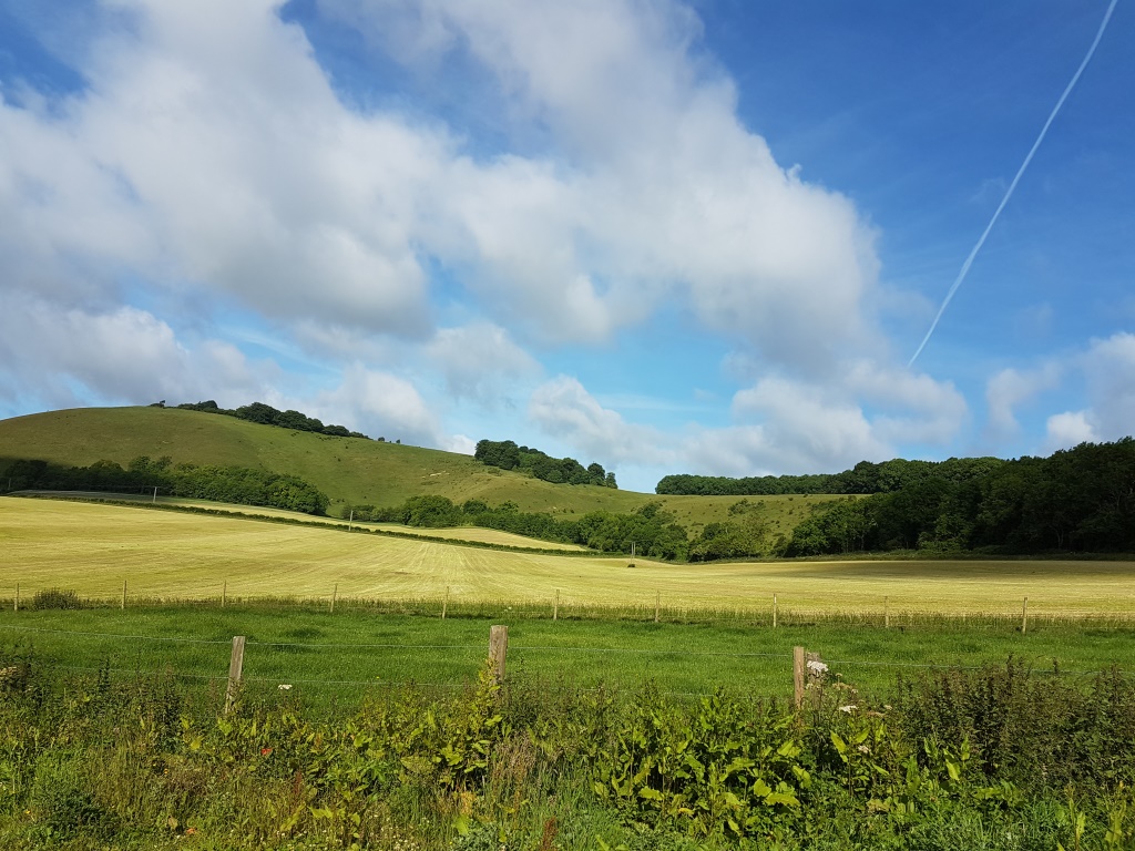 Perfect Picnics in the Vale of Pewsey - Visit Pewsey Vale