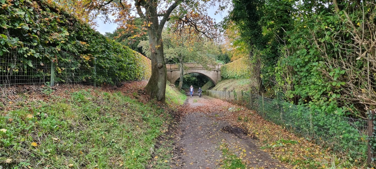 Cuckoo Bridge c