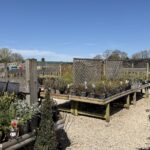 Woodborough Garden Centre Woodborough Garden Centre