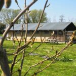Honeybee Glamping