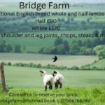 Bridge Farm Bridge Farm