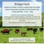 Bridge Farm Bridge Farm