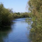 Wilton Water