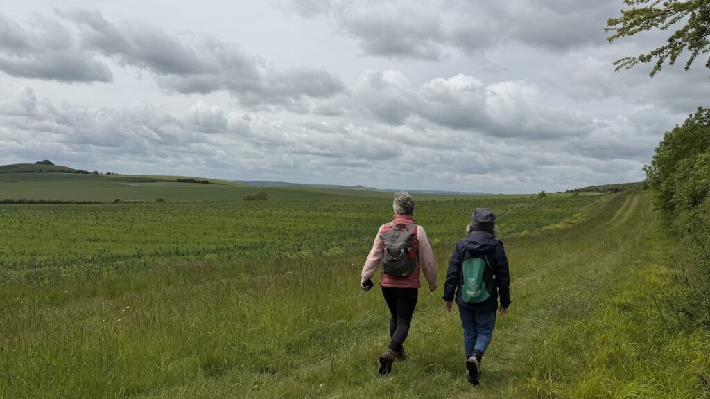 Walkers Woodborough Hill in distance